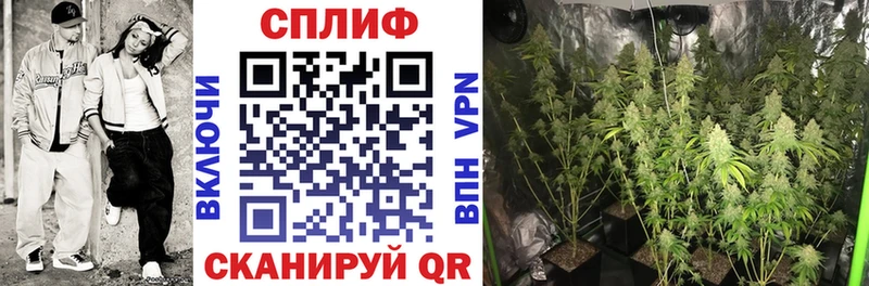 Каннабис MAZAR  Коммунар 
